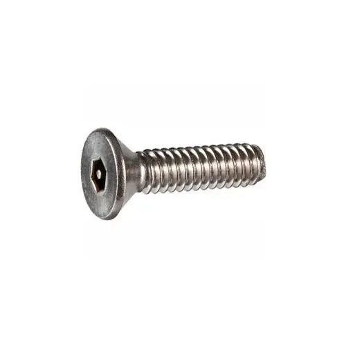 Buy Direct 1/4-20 x 3/4" Security Machine Screw - Flat Hex Socket Head - 302HQ/18-8 SS - FT - UNC - 100 Pk