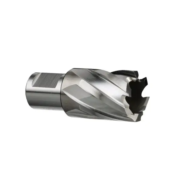 Professional Grade 9/16" X 2" Annular Cutter 3/4" Weldon Shank HSS DWC5-530-213