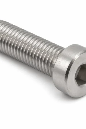 M10-1.5 X 10mm Socket Cap Screws Low Head Hex Socket Drive Fully Threaded Class 8.8 Alloy Steel (250 / Pkg.) Express Delivery
