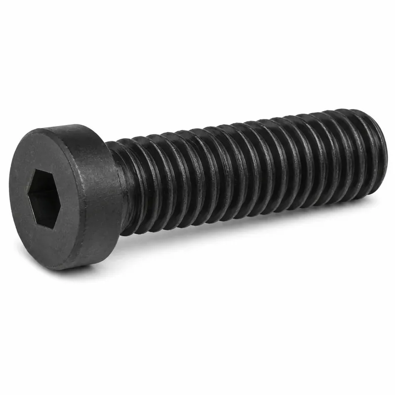 Buy Direct HOLO-KROME 69370 M5-0.8 X 16mm Socket Cap Screws Low Head Hex Socket Drive Alloy Steel Thermal Black Oxide (100 / Pkg.)