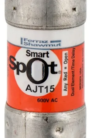 Budget Mersen/Ferraz Shawmut AJT15 Time Delay Fuse