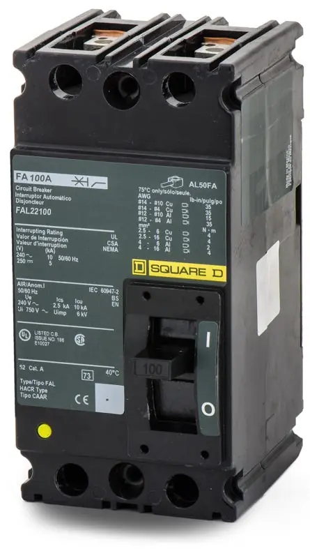 Square D FAL22100 - 100A 2 Pole Molded Case Circuit Breaker Bargain