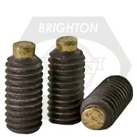 Markdown M6-1.00 x 12 mm Socket Set Screws, Brass-Tip, Plain Finish, Coarse (UNC), Alloy Steel, Qty 100