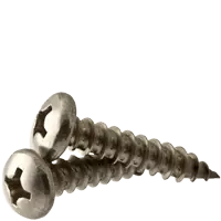 Today Only 6 x 3/8" Self-Tapping Screws, Phillips Pan Head, Type A, 18-8 Stainless Steel, Full Thread, Qty 1000