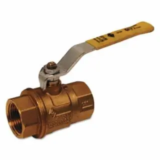 Holiday Sale Dixon Valve FBV50 1/2 Full Port Ball Valve (20 EA)