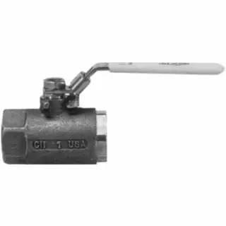 Dixon Valve SSBV25 1/4 Ss Ball Valve (10 EA) Limited Time