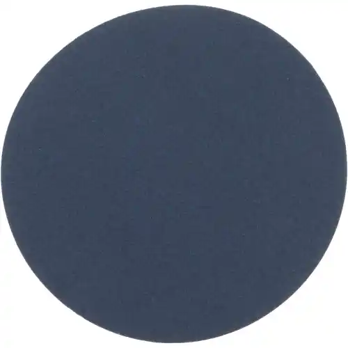Authentic Norton 66261138317 10" Blank 80-Y Grit R821Norzon Plus Psa Di (25 EA)