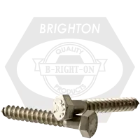 3/4"-4 1/2 x 12" Hex Lag Screws, 316 Stainless Steel, Qty 5 Special Discount