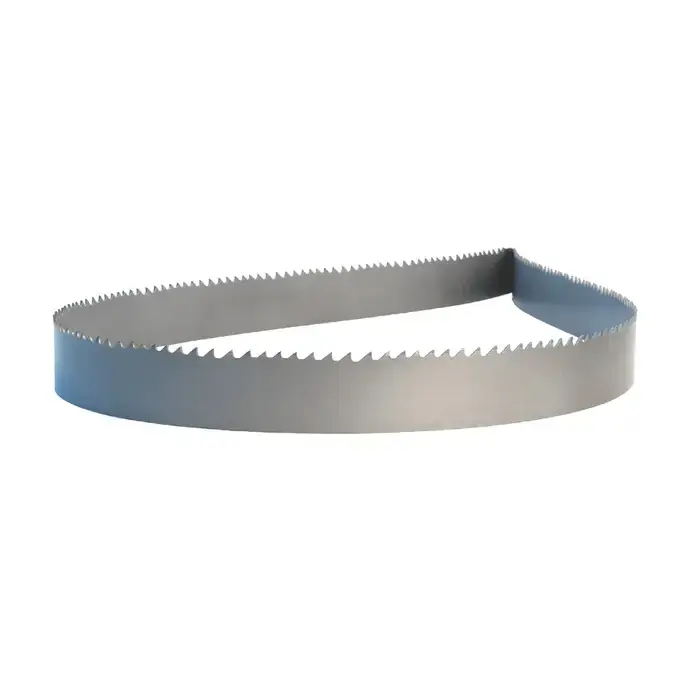 Buy Today LENOX 96357QPB195790 3/4 TPI, 19‘ Long, 2" Wide, M42 Bi-Metal Bandsaw Blade