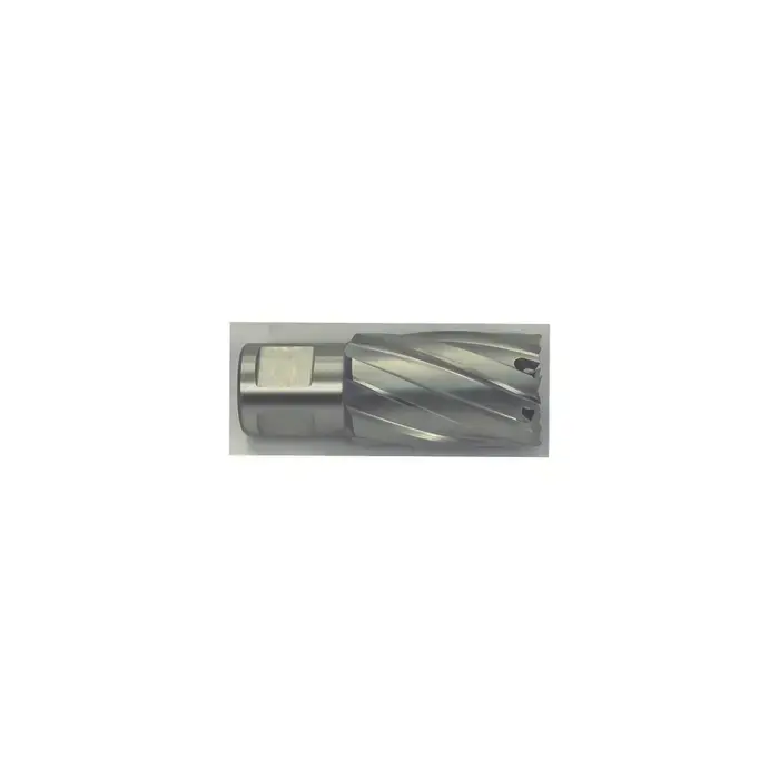 HOUGEN 12132 1", 1" Deep High Speed Steel Annular Cutter or Tool Popular