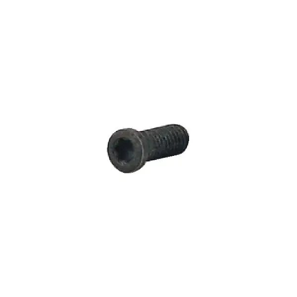 WALTER - PT-588T, Torx® Screw, 52294 Buy Today