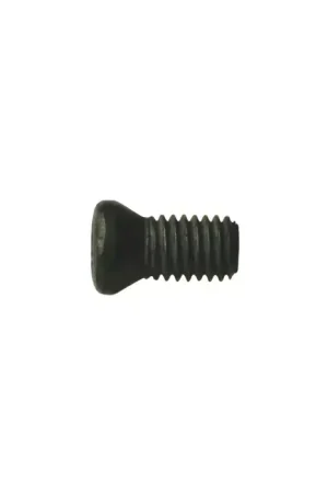 Today Only WALTER - M06X025 ISO4762 12.9, Torx® Screw, 5054592