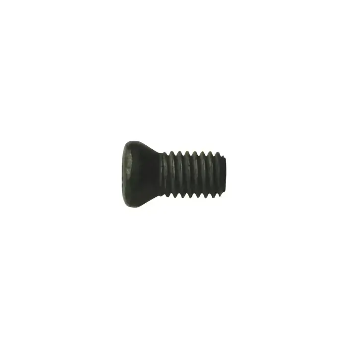 Today Only WALTER - M06X025 ISO4762 12.9, Torx® Screw, 5054592